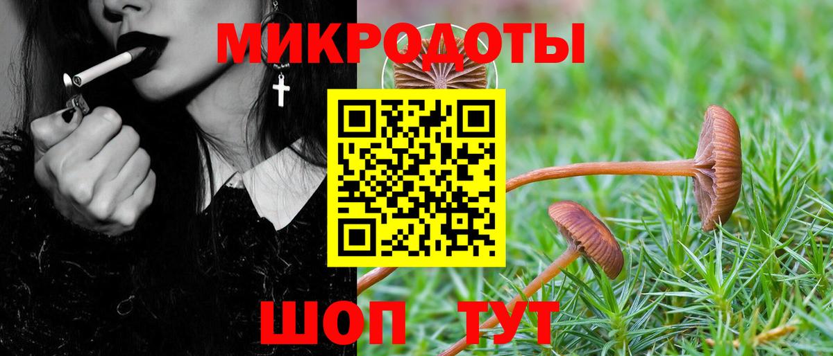 Галлюциногенные грибы Psilocybine cubensis Красноуфимск